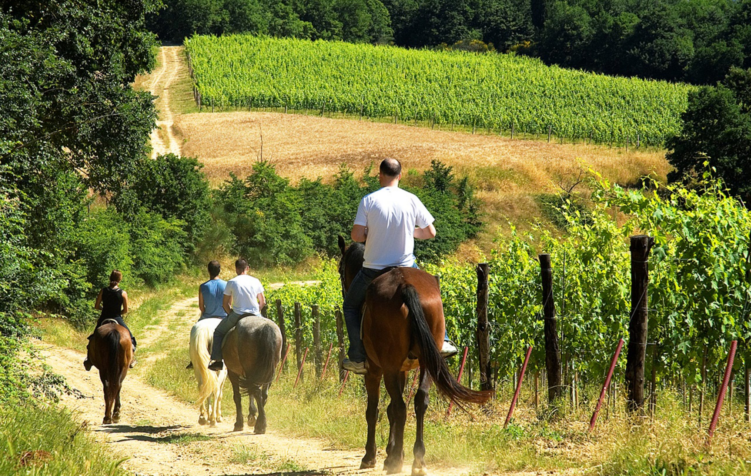 horseback riding